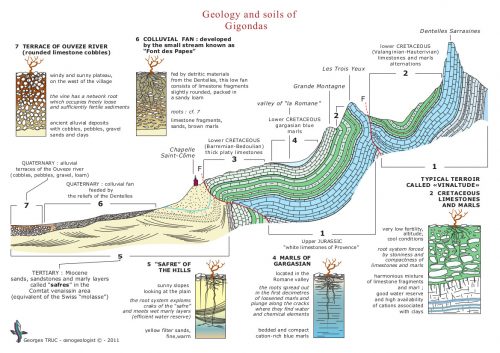 Geological Landmarks Gigondas Wine Pierre Amadieu